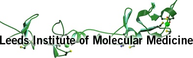 Leeds Institute for Molecular Medicine, University of Leeds, Wielka Brytania